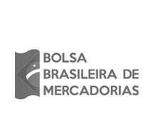 bubble_midias_sociais_Bolsa